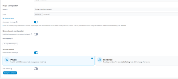 [SWS]Portainer에서MySQL 컨테이너 설정